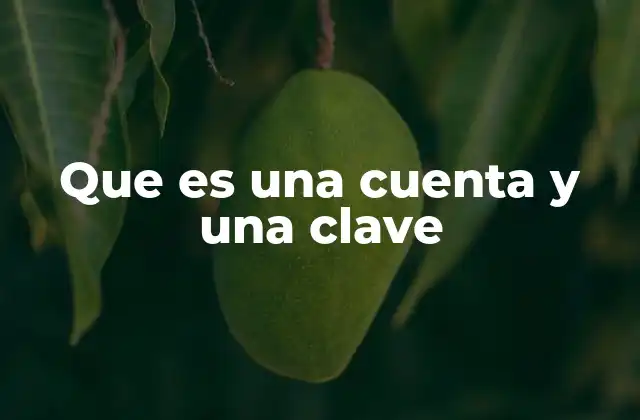 Que es una Cuenta y una Clave