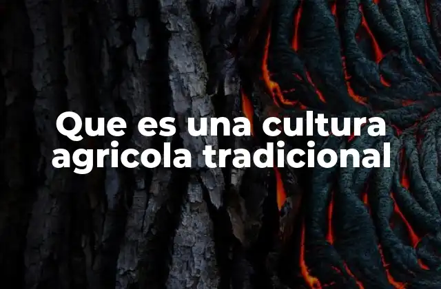 Que es una Cultura Agricola Tradicional 2 La base de una cultura agrícola ancestral