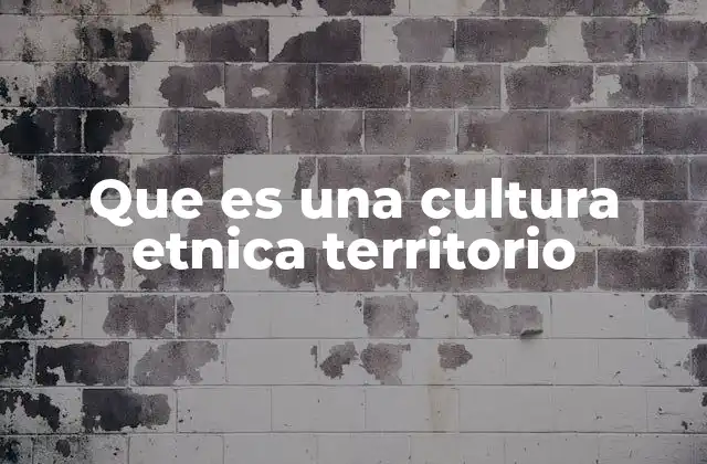 Que es una Cultura Etnica Territorio