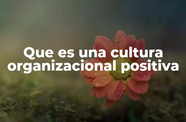 Que es una Cultura Organizacional Positiva