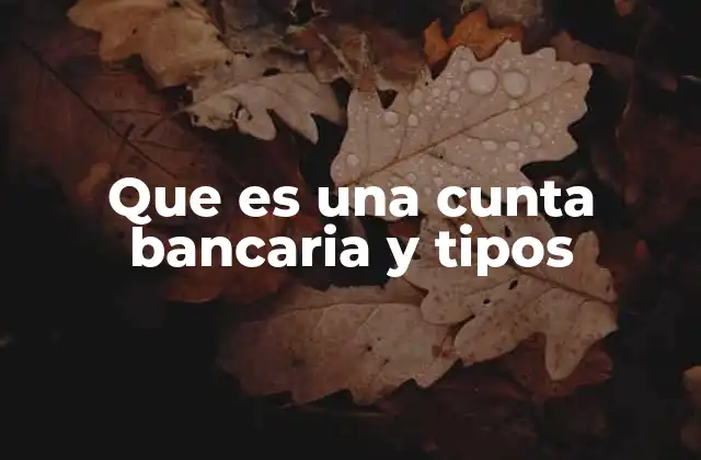 Que es una Cunta Bancaria y Tipos 2 La importancia de tener una cuenta en el sistema financiero