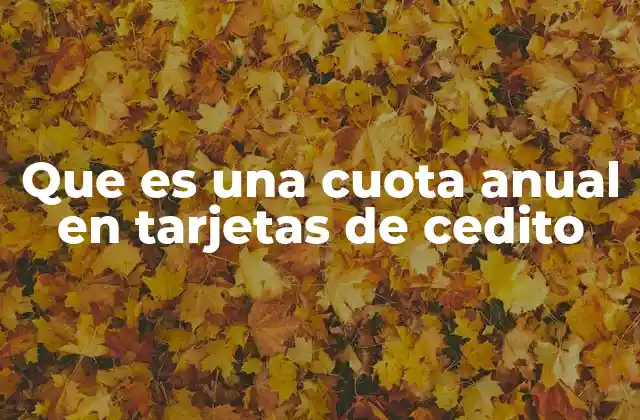 Que es una Cuota Anual en Tarjetas de Cedito