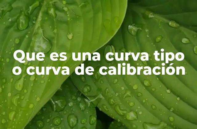 Que es una Curva Tipo o Curva de Calibración 2 Importancia de la calibración en la medición científica