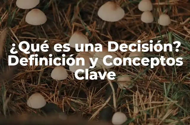 ¿qué es una Decisión? Definición y Conceptos Clave 2 Definición de una Decisión