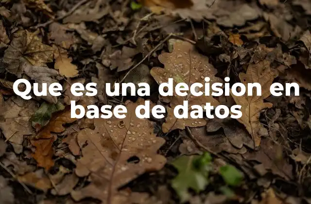 Que es una Decision en Base de Datos