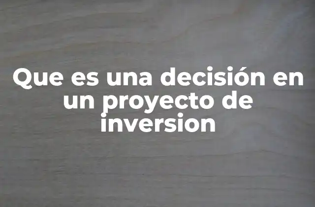 Que es una Decisión en un Proyecto de Inversion