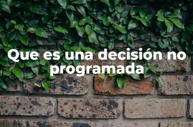Que es una Decisión No Programada