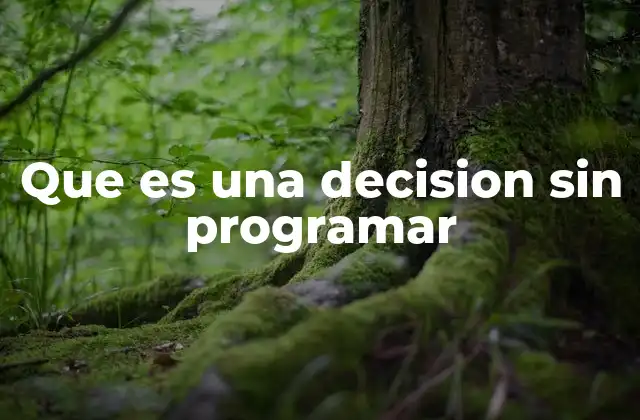 Que es una Decision sin Programar