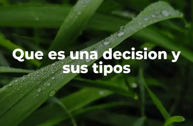 Que es una Decision y Sus Tipos