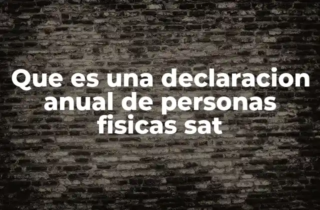 Que es una Declaracion Anual de Personas Fisicas Sat