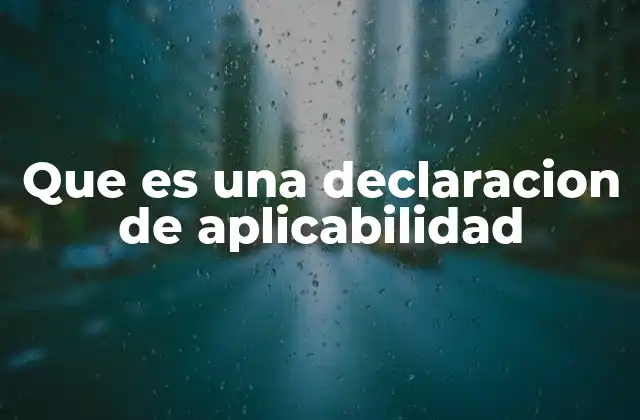 El rol de las declaraciones de aplicabilidad en el comercio internacional