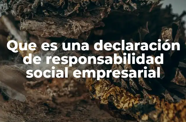 Que es una Declaración de Responsabilidad Social Empresarial