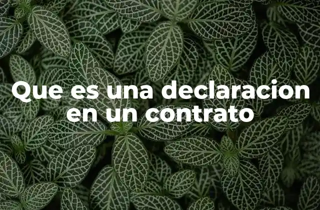 Que es una Declaracion en un Contrato