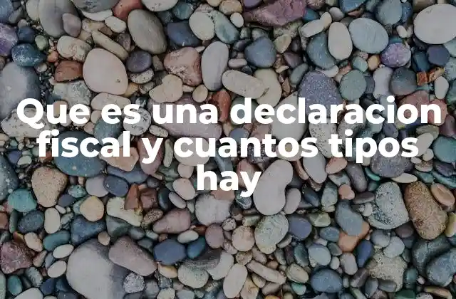 El impacto de las declaraciones fiscales en la economía nacional