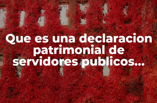 Que es una Declaracion Patrimonial de Servidores Publicos 2018