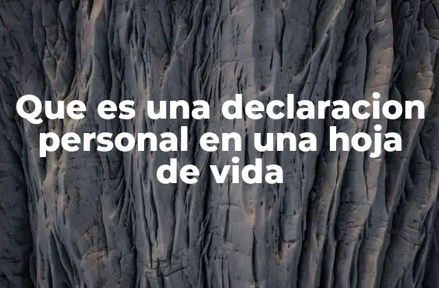 La importancia de una declaración personal en el proceso de selección