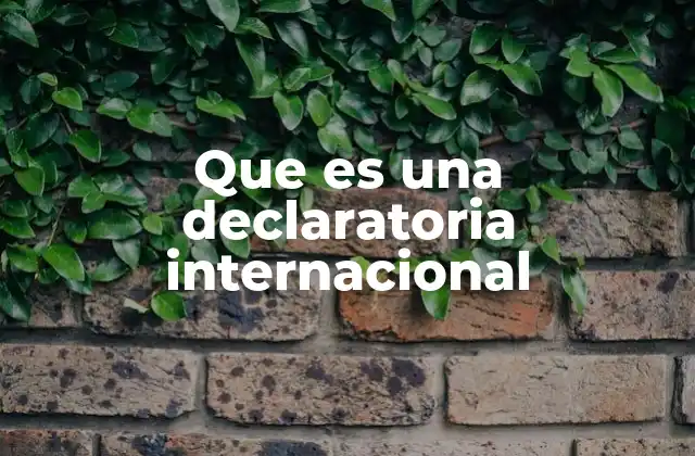 Que es una Declaratoria Internacional