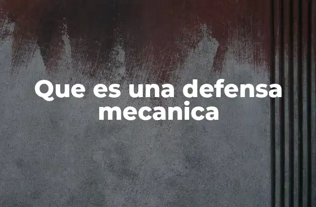 Que es una Defensa Mecanica