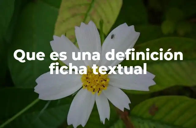 Que es una Definición Ficha Textual 2 La importancia de organizar información con fichas textuales