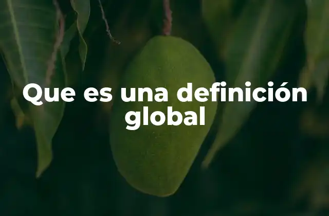 Que es una Definición Global