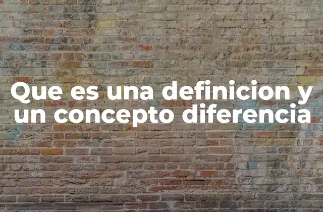 Que es una Definicion y un Concepto Diferencia
