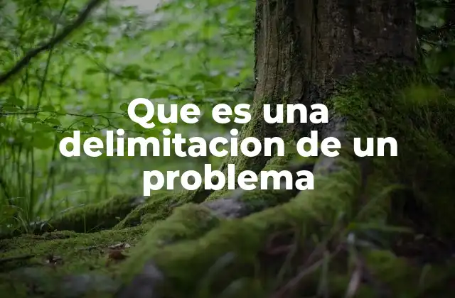 Que es una Delimitacion de un Problema