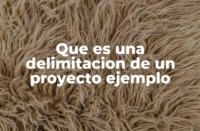 Que es una Delimitacion de un Proyecto Ejemplo