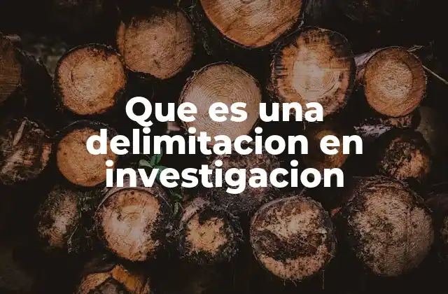 Que es una Delimitacion en Investigacion