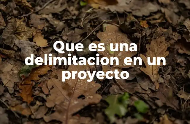 Que es una Delimitacion en un Proyecto