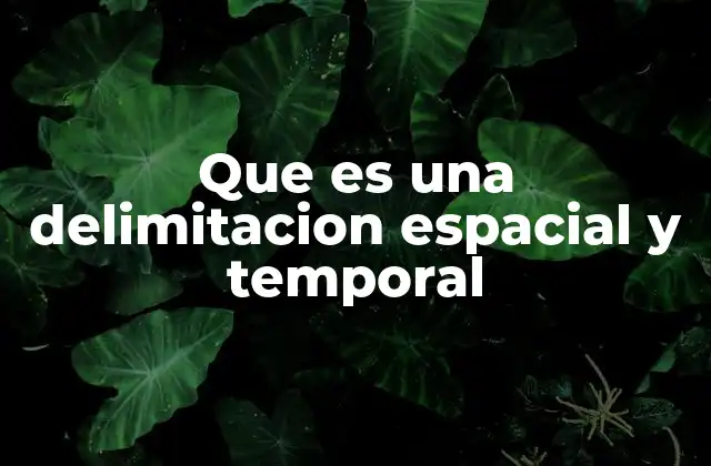 Que es una Delimitacion Espacial y Temporal 2 La importancia de establecer límites en el desarrollo de proyectos