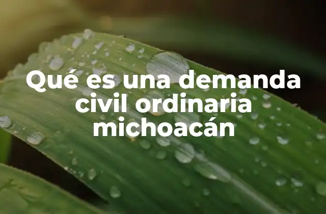 Qué es una Demanda Civil Ordinaria Michoacán