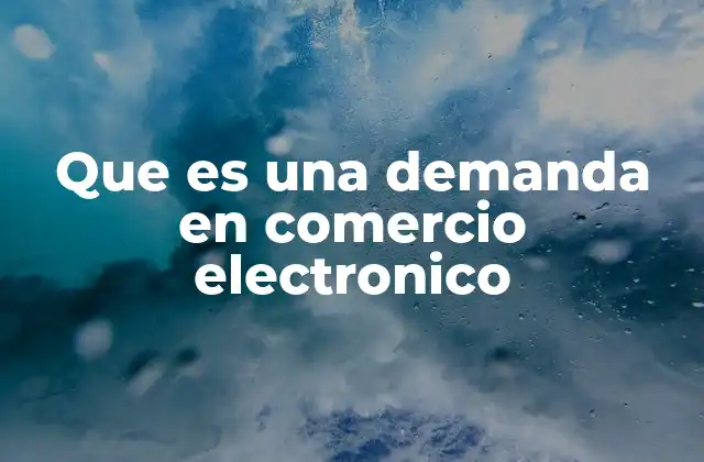 Que es una Demanda en Comercio Electronico