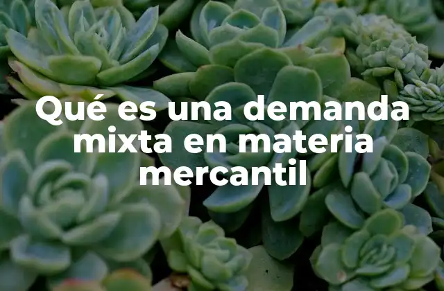 Qué es una Demanda Mixta en Materia Mercantil