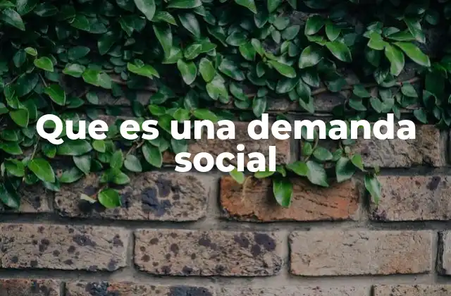 Que es una Demanda Social