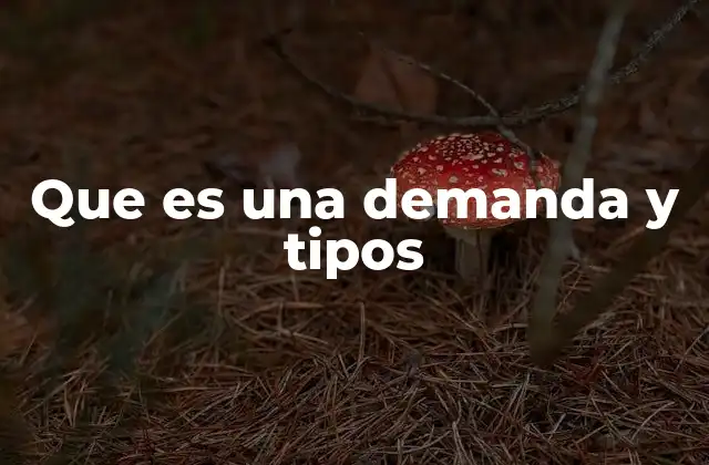 Que es una Demanda y Tipos