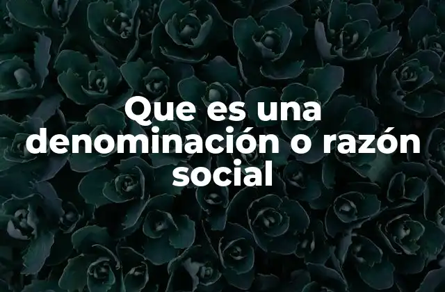 Que es una Denominación o Razón Social