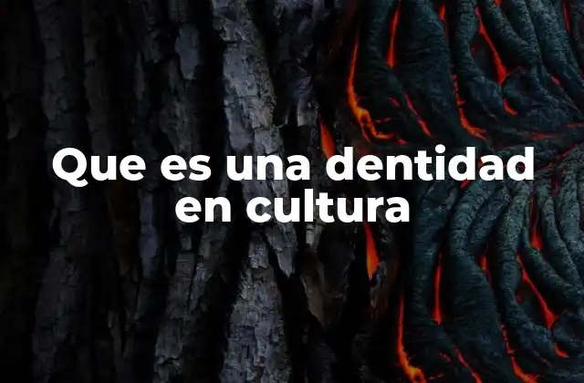 Que es una Dentidad en Cultura