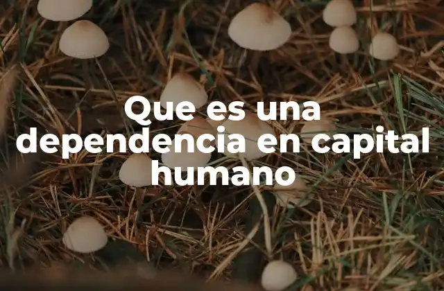 Que es una Dependencia en Capital Humano
