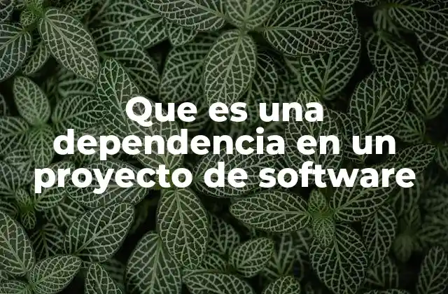 Que es una Dependencia en un Proyecto de Software