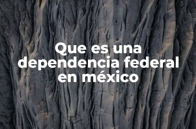 Que es una Dependencia Federal en México