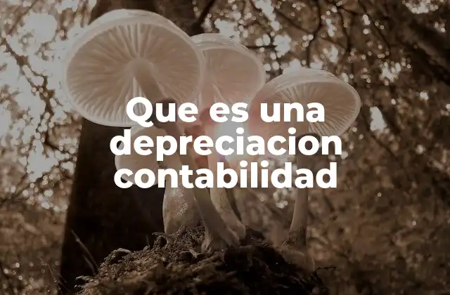 Que es una Depreciacion Contabilidad