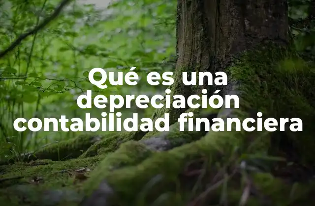 Qué es una Depreciación Contabilidad Financiera