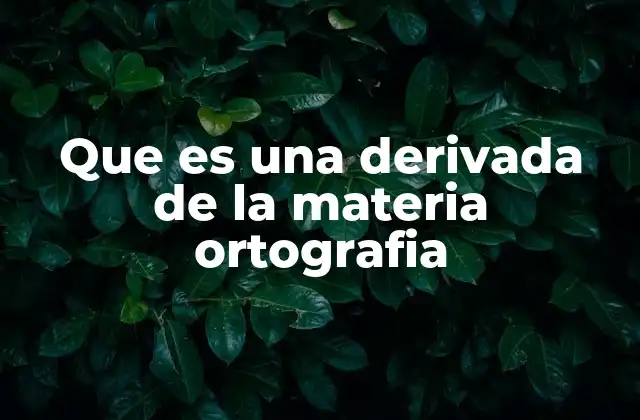 Que es una Derivada de la Materia Ortografia
