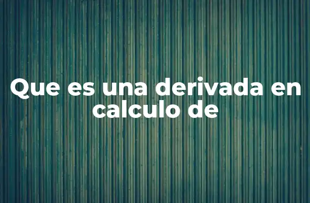Que es una Derivada en Calculo de