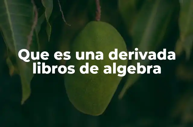 Que es una Derivada Libros de Algebra