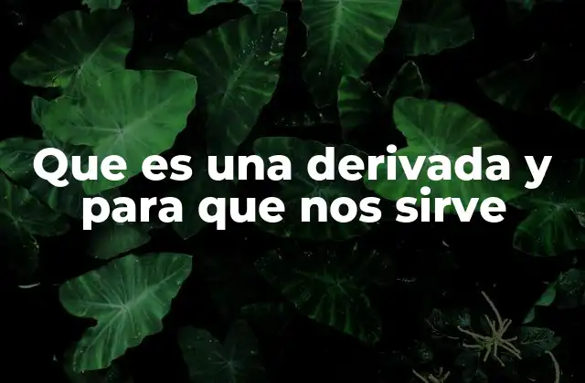 Que es una Derivada y para que Nos Sirve