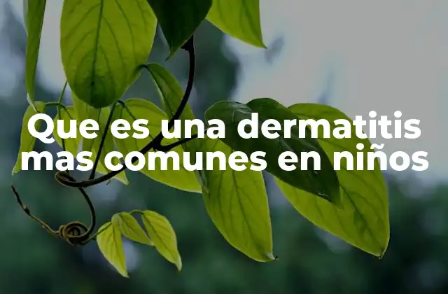 Que es una Dermatitis mas Comunes en Niños