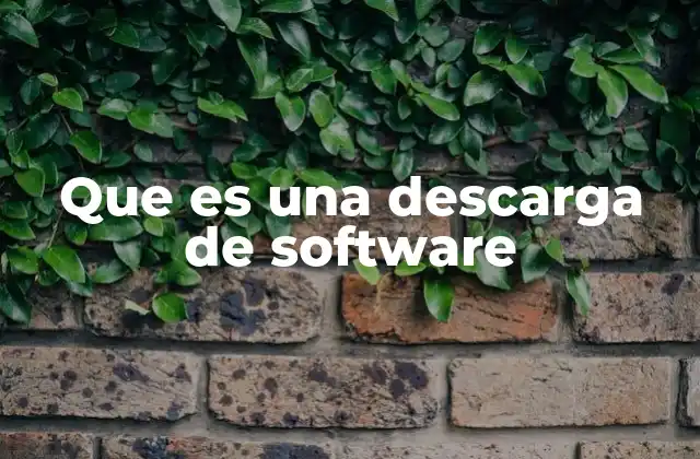 Que es una Descarga de Software