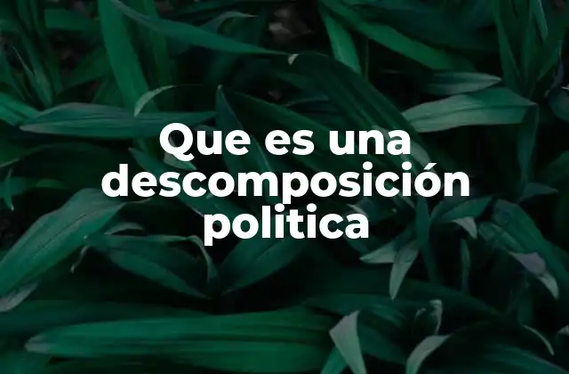 Que es una Descomposición Politica 2 Causas y efectos de la descomposición política