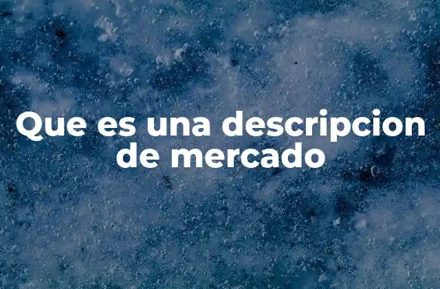 Que es una Descripcion de Mercado